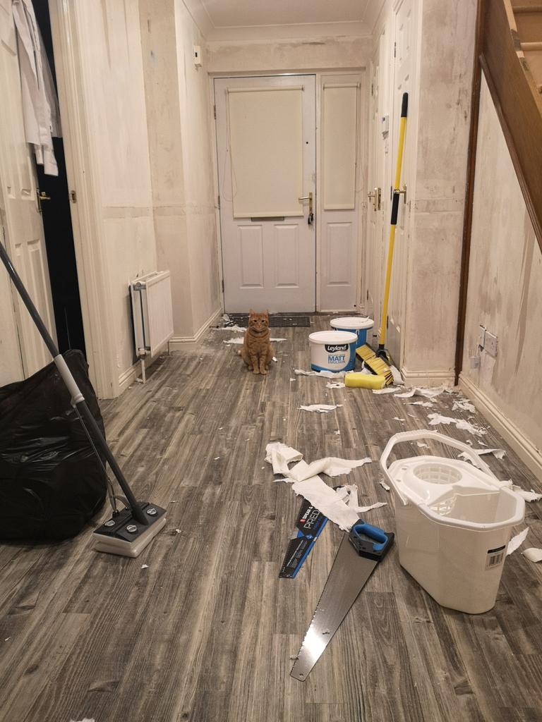 Isabelle Cest Isabelle Twitter