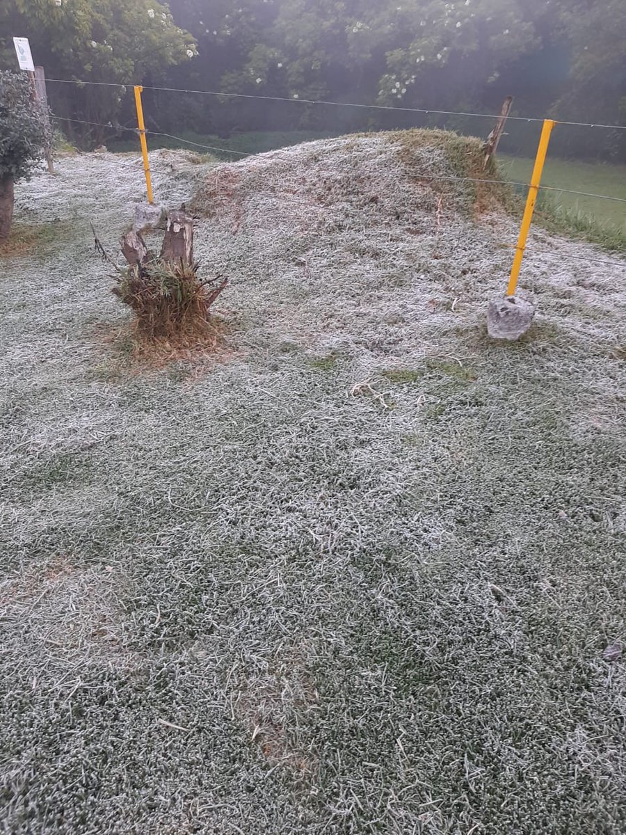 danielmats_'s tweet image. Así amaneció el clima en #facatativá! #frio #climafrio #heladas