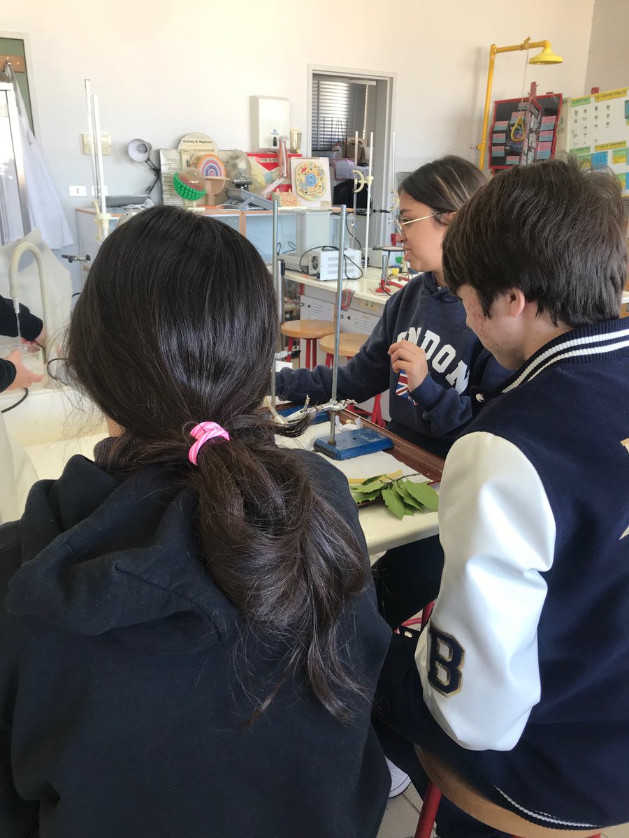 RoweidaB's tweet image. One successful potometer setup: IB2 students measure transpiration rate and monitor the effect of bright light and number of leaves #ibbio #topic9 ⁦@monamajzoub⁩ ⁦@Hhhsinfo⁩