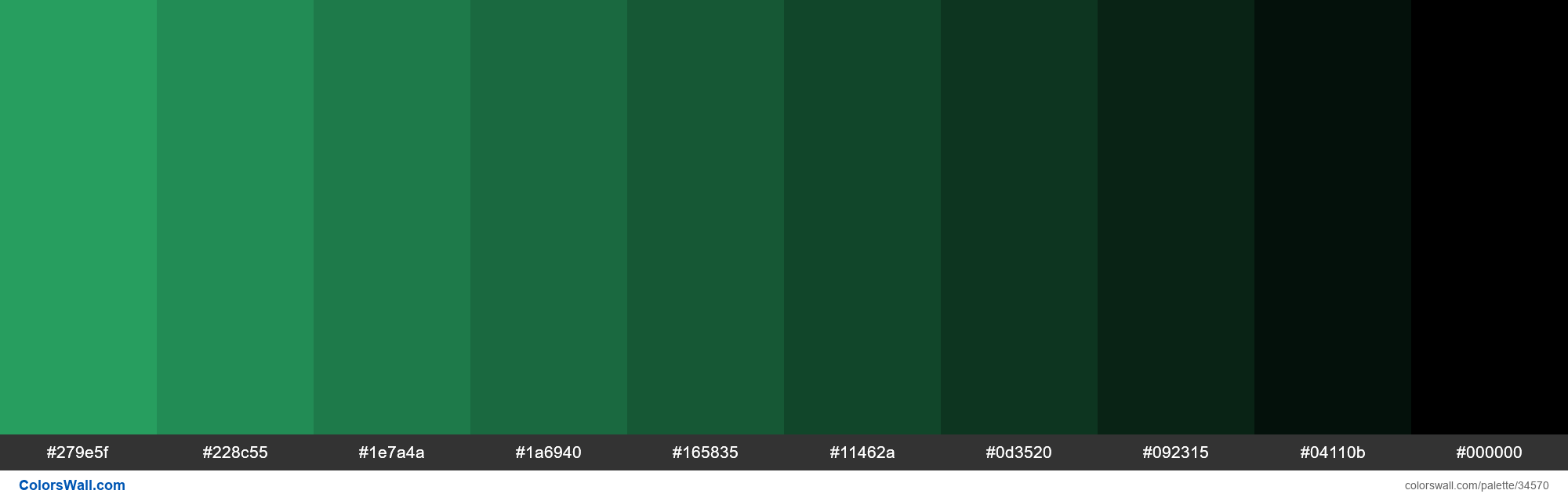 colorswall on X: Shades XKCD Color jade green #2baf6a hex #279e5f,  #228c55, #1e7a4a, #1a6940, #165835, #11462a, #0d3520, #092315, #04110b,  #000000 #colors #palette   /  X