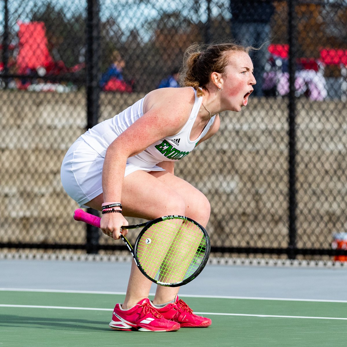 Endicott Athletics tweet media