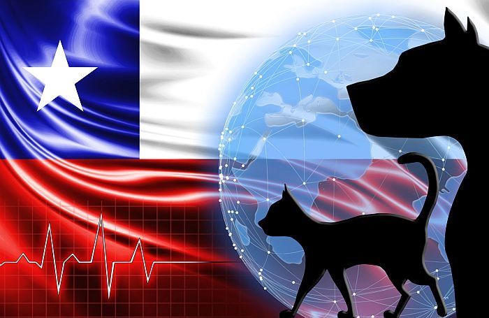 Iansa of Chile sells pet food business to Camil of Brazil buff.ly/2TYzhYk #petfood