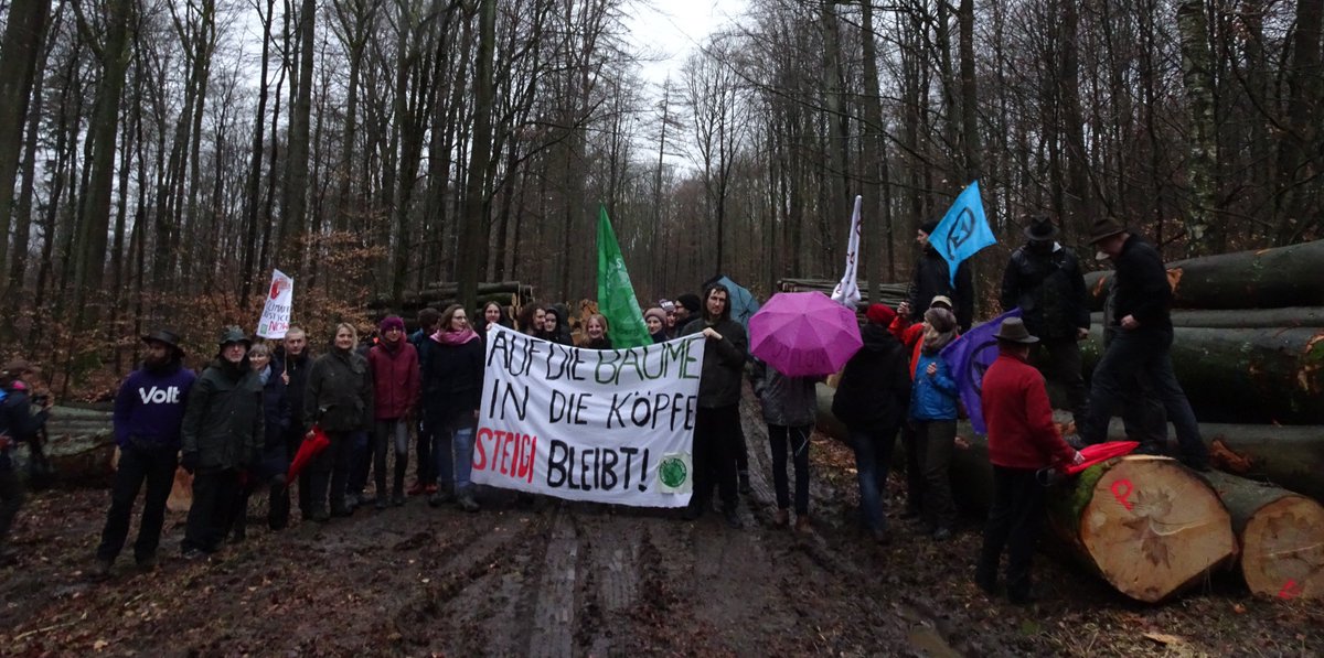Mit euch drauf sehen sogar die toten Bäume ein bisschen gut aus!
Damit auf viele weitere Tage im Wald
#SteigiBleibt #AlleWälderBleiben