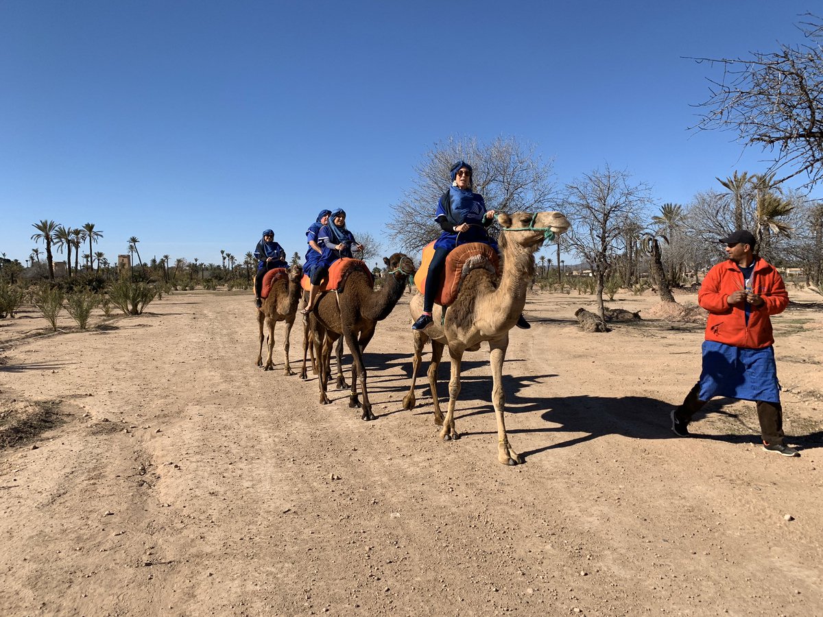 Brenda Calcavecchia tweet media