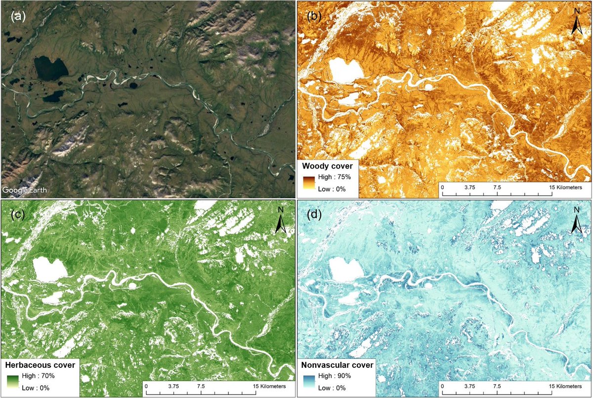 ORNL DAAC (@ornldaac) on Twitter photo Maps of 3 major wildland #fire fuel types are available from the Arctic-Boreal Vulnerability Experiment <a href="/NASA_ABoVE/">NASA_ABoVE</a> buff.ly/2Us0Xou The fuel components include woody (evergreen & deciduous shrubs), herbaceous (sedges & grasses), & nonvascular species (mosses & lichens). Maps of 3 major wildland #fire fuel types are available from the Arctic-Boreal Vulnerability Experiment <a href="/NASA_ABoVE/">NASA_ABoVE</a> buff.ly/2Us0Xou The fuel components include woody (evergreen & deciduous shrubs), herbaceous (sedges & grasses), & nonvascular species (mosses & lichens).