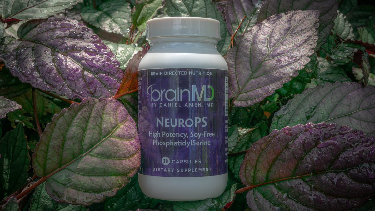 Holistic_MHC's tweet photo. The fountain of youth for trillions of nerve cell connections that make up the 🧠. From a holistic approach that promotes brain health. @DocAmen, @BrainMDHealth Health Approved. Swing by our office or visit: https://t.co/WXHpVTkjL6. #THMHC #SaintPetersburg https://t.co/Mc0tdgMrcj