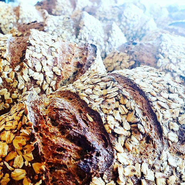 Oatty Oatty Oatty Oat! (works best when sung)  Whole Wheat with fermented Oat Porridge using organic grains from @wholegrainmilling. Available through Friday. #organicgrains #naturallyleavened #communitysupported