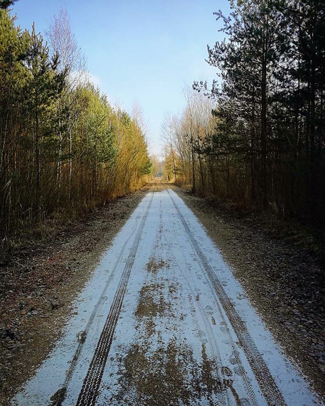 beow00lf's tweet photo. W stronę słońca. 🌨️ -> 🌤️
#półzimapółwiosna #śniegisłońce #jaworzno #naturephotography #weroampoland #luty #february https://t.co/l57idWHoG8 https://t.co/Xz9b3r87cW