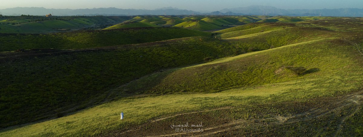 Ahmed ALhosni tweet media