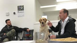 KnightSeeds's tweet image. We are looking for someone to join our team.  Please send us your resume if you're interested.
knightseeds.com/grain-purchase…
#jobseekers #agtwitter