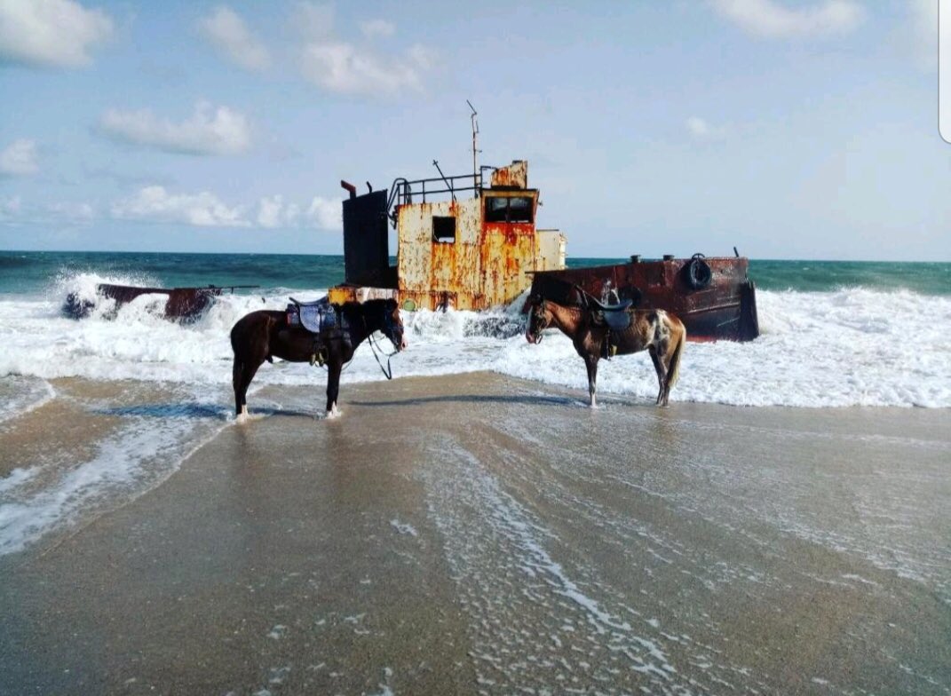 RimorTours's tweet photo. On the shores of the Atlantic Ocean, we left our horses trotting freely on the beach sands by the old shipwreck 
Guess our location 😁😁😁
Thanks to Rimor Tours for planning our exceptional romantic vacation.❤️
#Plannedpackagedtours
#Romanticgetaways
#Traveltours
#RimorTours https://t.co/lKWtFVrbDI