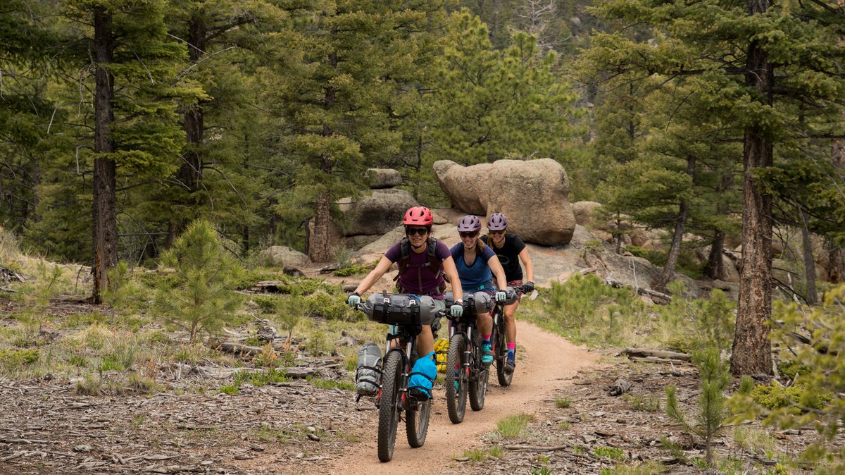 Blackburn tweet media