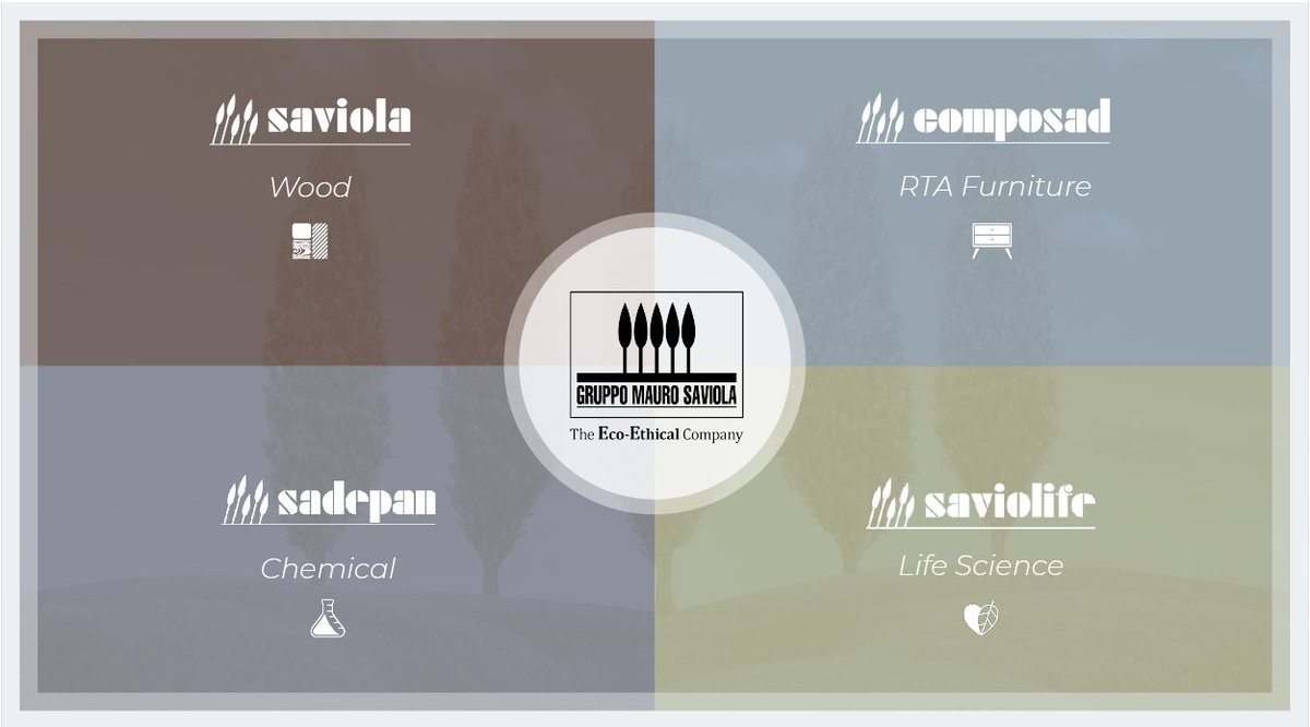 GruppoSaviola's tweet photo. L'impegno del #GruppoSaviola per la sostenibilità attraverso le quattro Business Unit:
♻ #Saviola - Legno
⚗️#Sadepan - Chimica
🗄 #Composad - Mobili RTA
🍃#Saviolife - Life Science
GruppoSaviola - The Eco-Ethical Company since 1963
Scopri di più 👉https://t.co/kD31qrMyfb https://t.co/C7yBa2hYSx