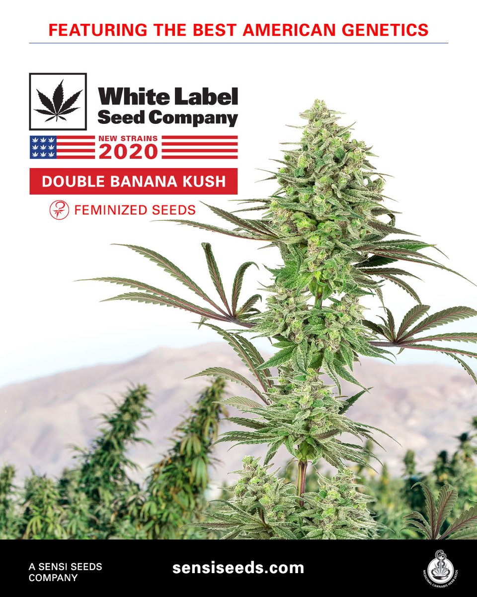 30 White Label Seed Company Labels Design Ideas 2020