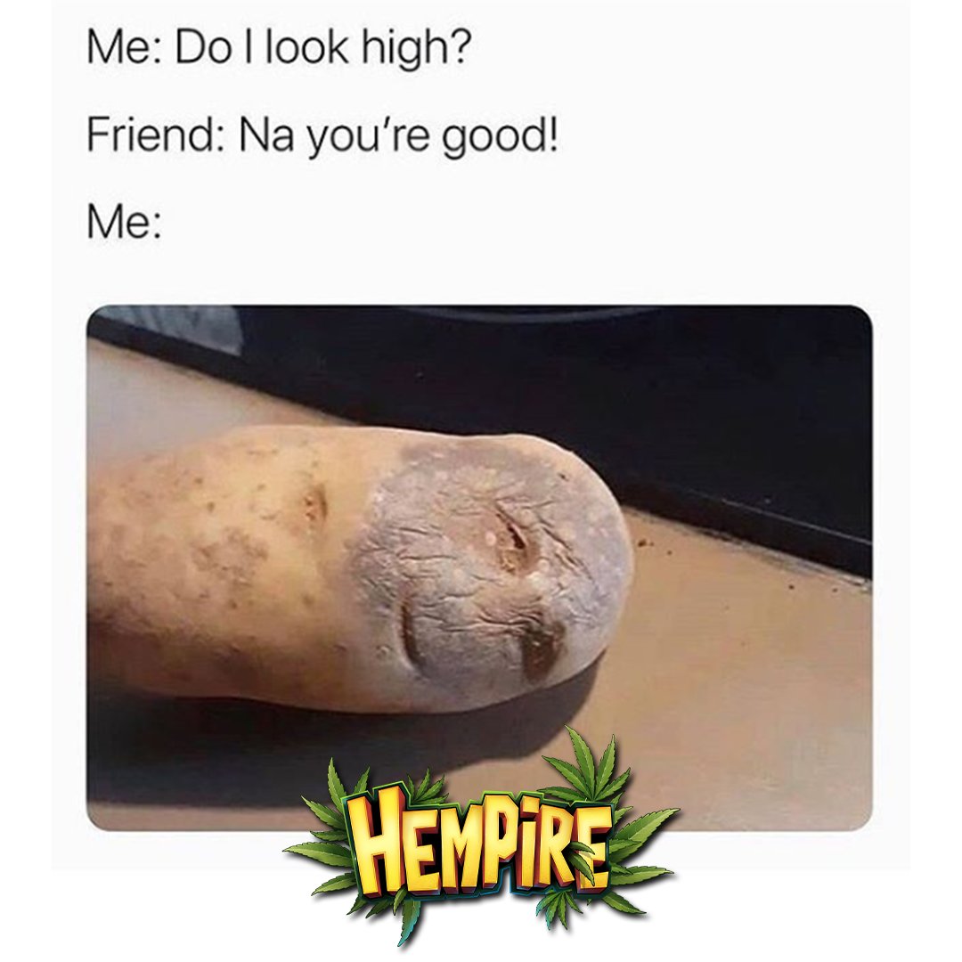 Hempiregame's tweet image. I think we've all been there... 🤣

#playhempire #hempire #meme #memes #stonermemes