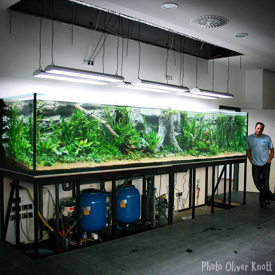Aquarium Talks On Twitter A 6 40 Feet 5 Meters Planted Aquarium Talks On Twitter A 6 40 Feet