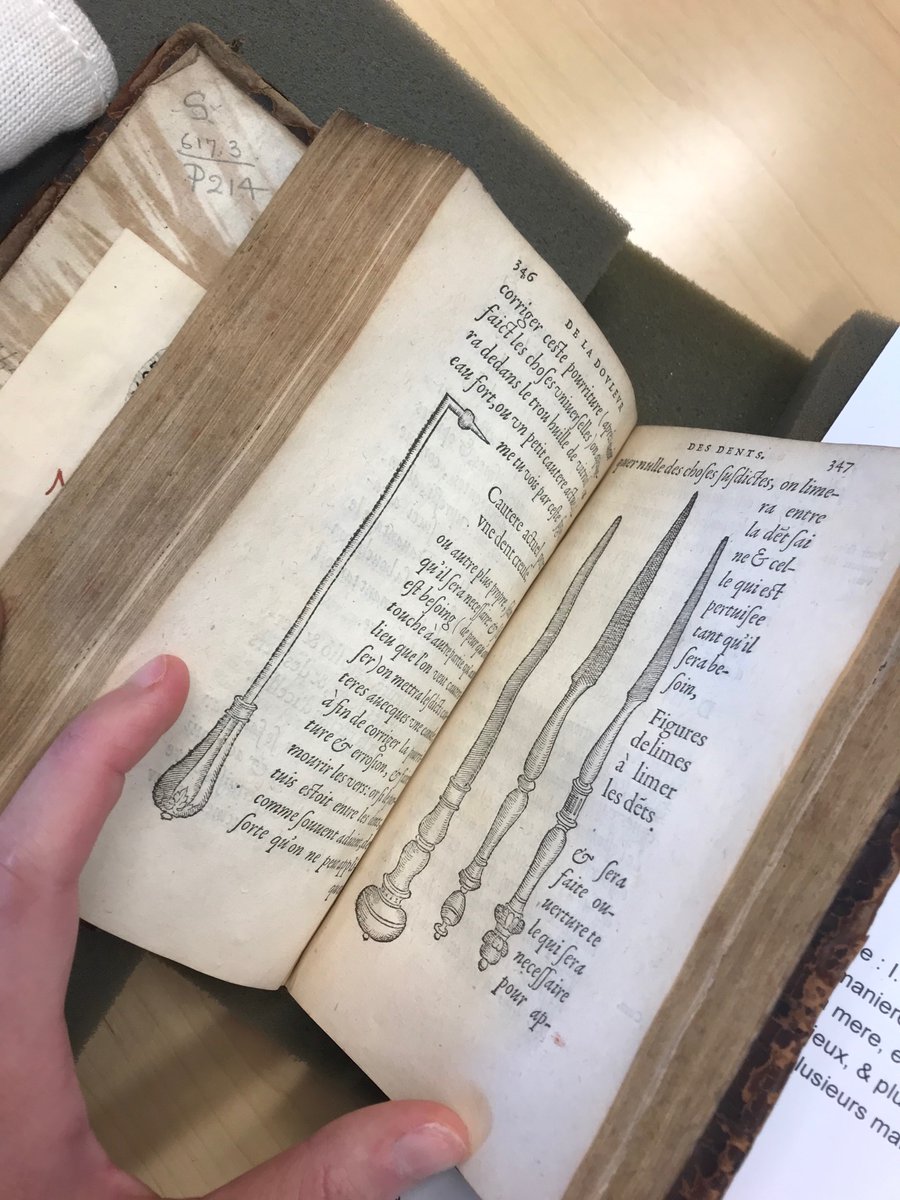 taylor siegal (SiegalTaylor) Twitter