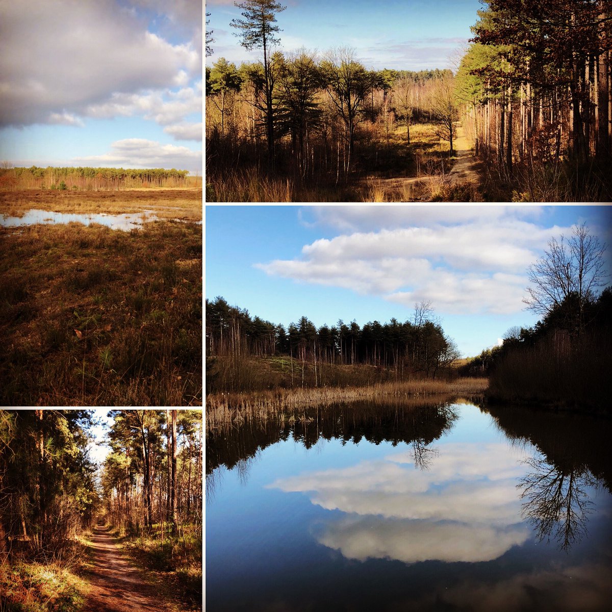 WendyAppermans's tweet photo. Nice walk#nice view#👍😍🌿🍁#11 km 🚶‍♀️ https://t.co/dymPk6mwRX
