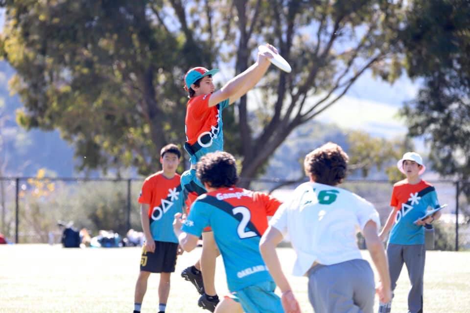 OAK_Ultimate tweet media