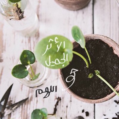 Faoaed's tweet photo. #صورة_جديدة_للملف_الشخصي https://t.co/ThtyV1Qxgk