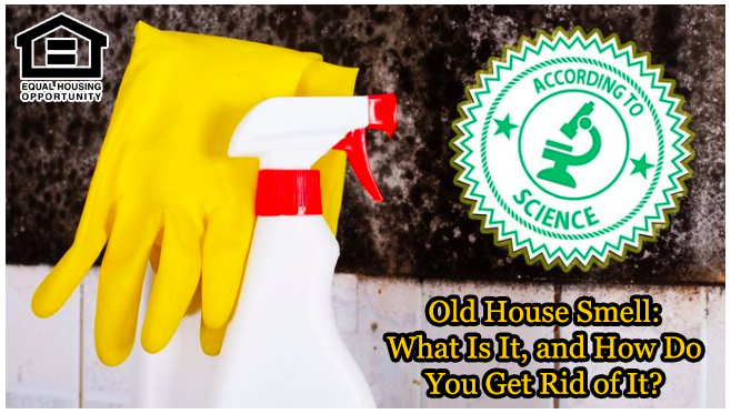 EMILending's tweet image. Old House Smell: What Is It, and How Do You Get Rid of It?

realtor.com/advice/home-im…

#EMI #Equitable #Mortgage #Investors #RealEstate #DadeCounty #Miami #LoanOriginator #Broker #Repost #Share #BrowardCounty #Florida #Wynwood #Brickell #CoralGables