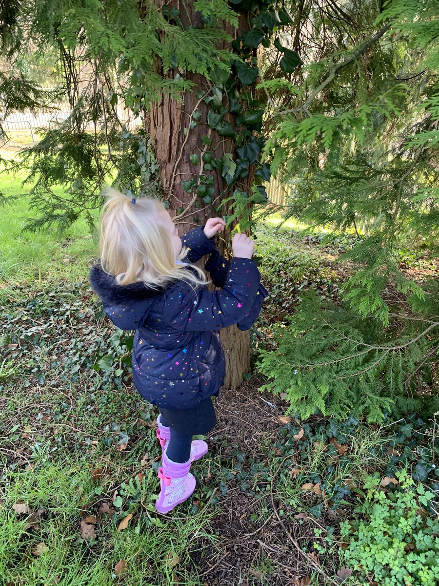 TynewyddNursery's tweet photo. We had a such fun in forest school today making bird feeders! #wellywednesday #ethnicallyinformedcitizens #forestschoolfun @_OLW_ @TynewyddPrimary https://t.co/S2x0stNBf5