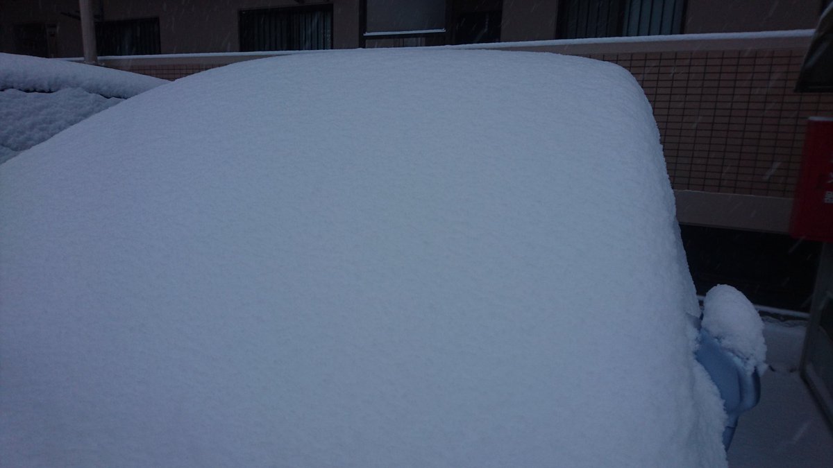 Miwa89989591's tweet photo. おはようございます❄
ついに、市内も雪景色。
ふかふかの雪です。滑りに行きたい🎿けど、今日は仕事です😢
#山形 #雪 https://t.co/x6C4HShNlh