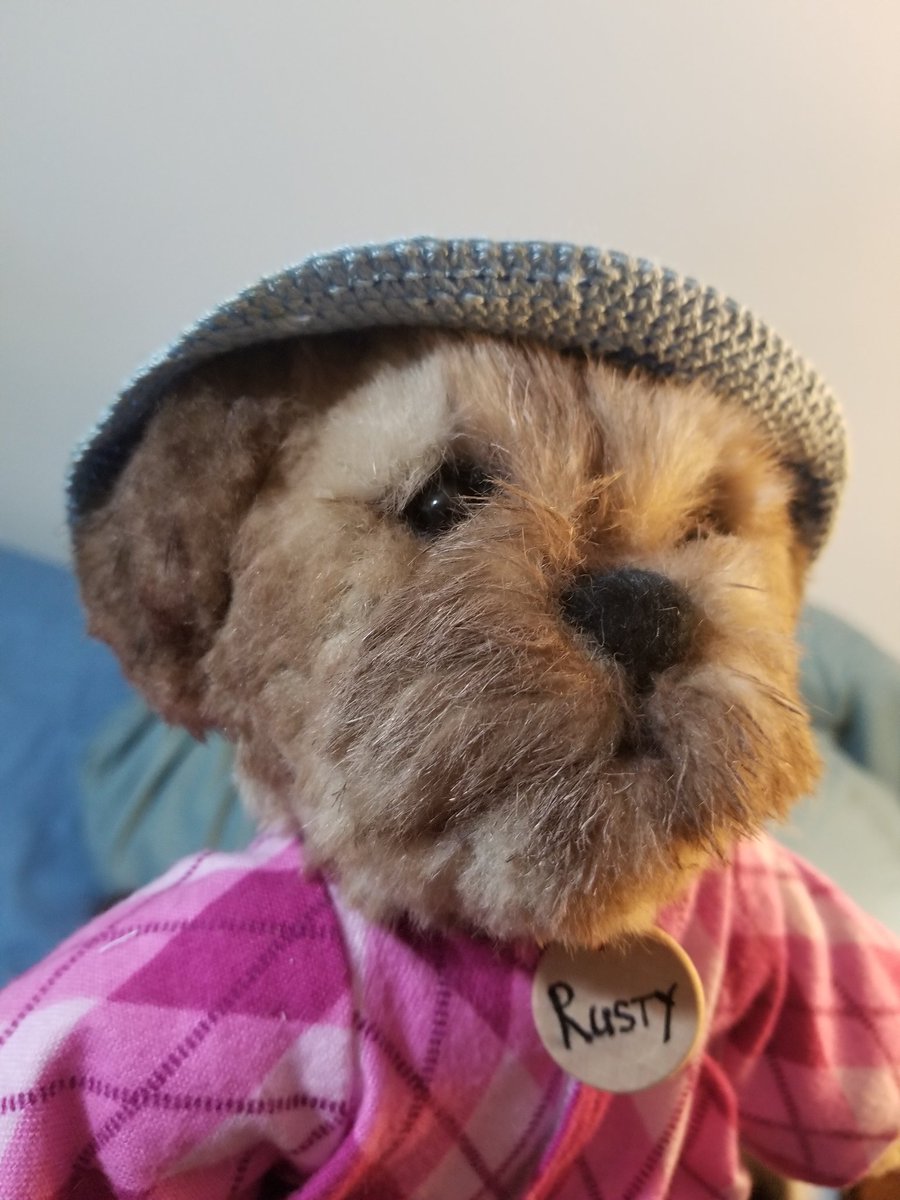 RustyFurr's tweet photo. Hello everyone. It's time for this sleepy puppybear to leap into his bunkbed and #ToddysHug #ButterbeanHug snore away. Goodnight all! https://t.co/4PJWpRUL3d