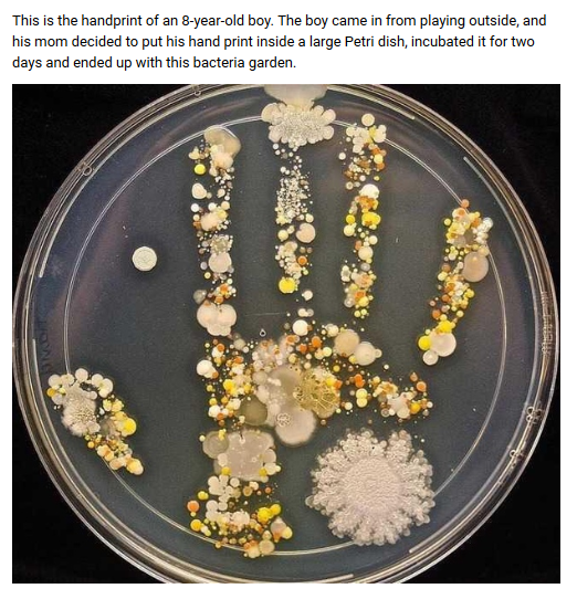 Fearless Rear tweet media