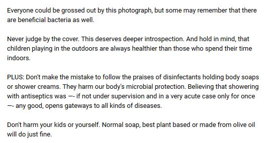 Fearless Rear tweet media