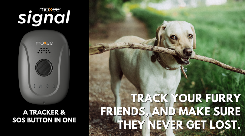 MoxeeSignalInfo's tweet photo. Dogs run around a lot; it's what they do. But you need not lose them or worry with a Moxee Signal. Make sure your pet finds its way home. Learn more at https://t.co/nzuUSbDbVm https://t.co/kkPIE3nepU