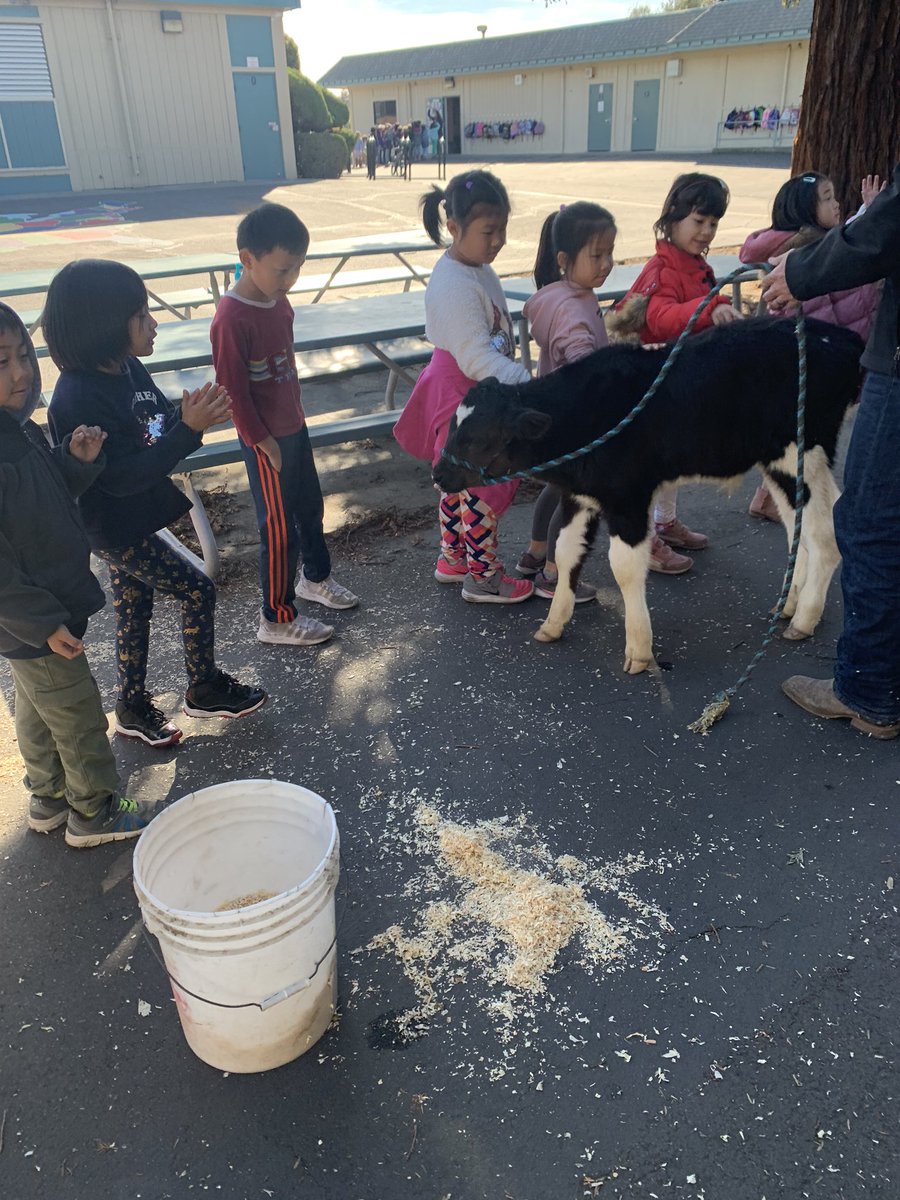 Warwick Wizards tweet media