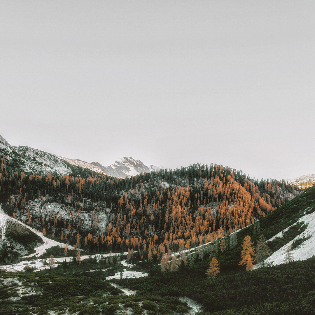 Craftmade's tweet photo. An alpine dream. 🌲
#inspo #winterpalette #colorsofwinter https://t.co/60tgTt48Dm
