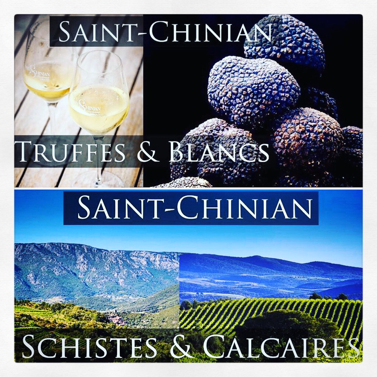 📢 #event @wineparisevent .
📅 10-11 Février 2020 de 18h à 19h.
👉🏻 2 dégustations exceptionnels autour des AOC <a href="/SaintChinian/">AOP Saint-Chinian</a> !
1️⃣ « Soirée spéciale truffes et blancs ». 
2️⃣ « Saurez-vous reconnaître les schistes des calcaires ? » 
👩🏼‍🤝‍👨🏻 #animation par <a href="/LizGabayMW/">Elizabeth Gabay MW 🍷🌹🌿🌍🌈🌎🦋🌏</a> et <a href="/creativefabien/">Fabien Lainé</a>