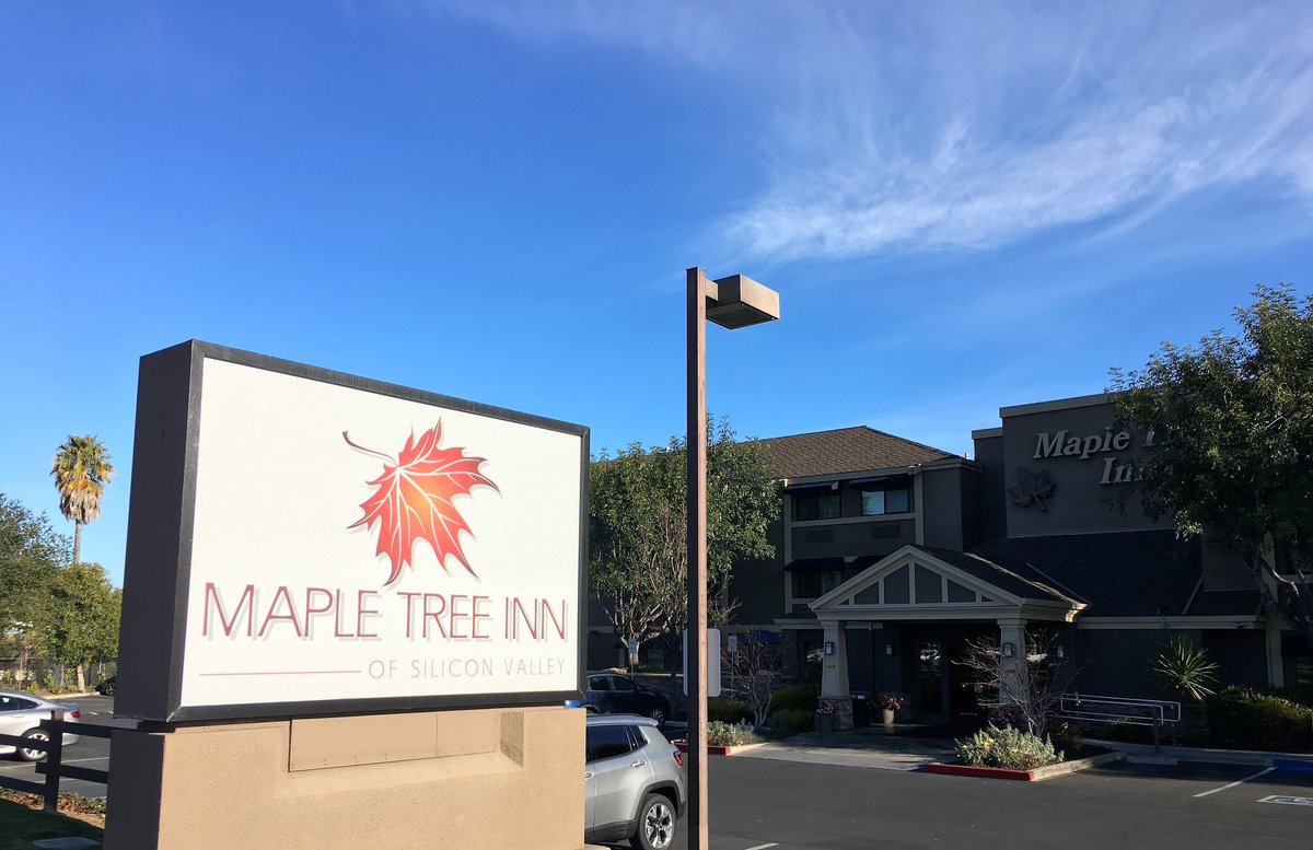 TheMapleTreeInn's tweet image. Bright beautiful sunny day at @TheMapleTreeInn Sunnyvale.
#mapletreeinn #sunnyvale #sun