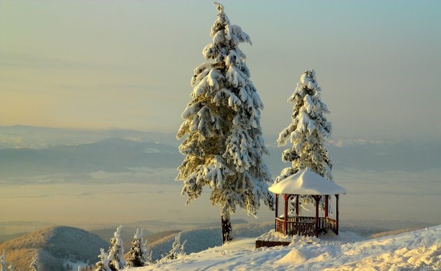 Эллен (@elena_drymova) on Twitter photo 