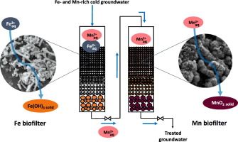 CanLightSource's tweet image. Interesting work from @usask researchers on biofiltration of groundwater resources for drinking water buff.ly/35BYgD4 
#academicpaper @biogeomicroblog