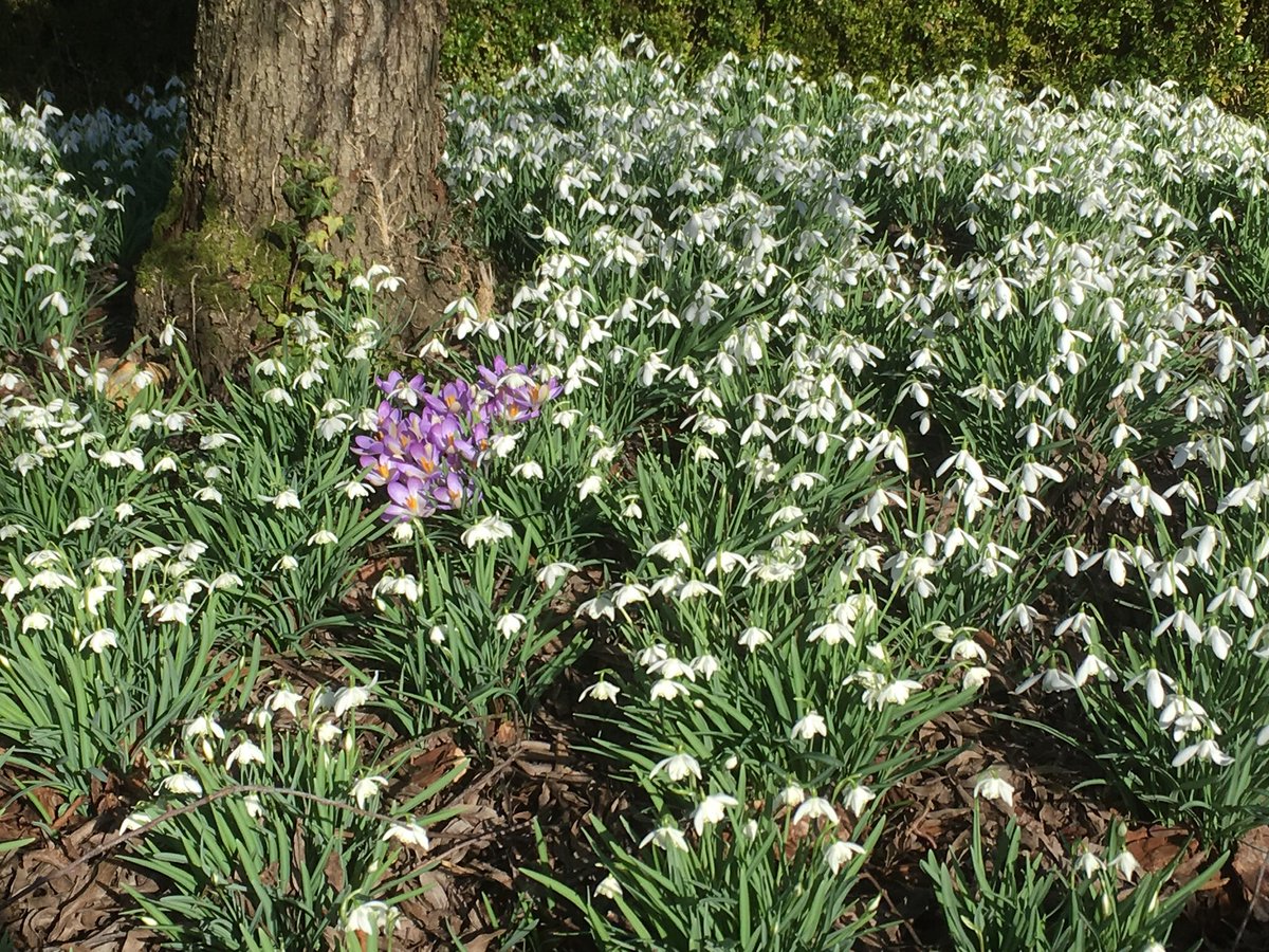 The Snowdrops are in full flower, fresh marmalade is made, the chickens are laying, post Christmas diets have been forgotten.......so.......we’ll be back in #Andover High St this Friday morning: 7th February 

Looking forward to seeing you
