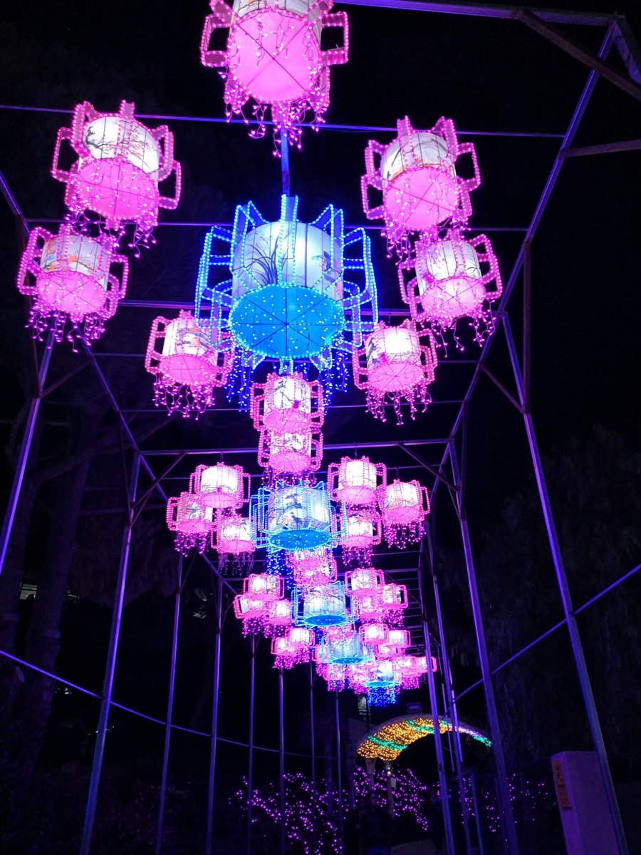 seilin3's tweet photo. C'est trop beau !!! 😍
#niceBDL #baiedeslumieres https://t.co/fKhitYDqLj