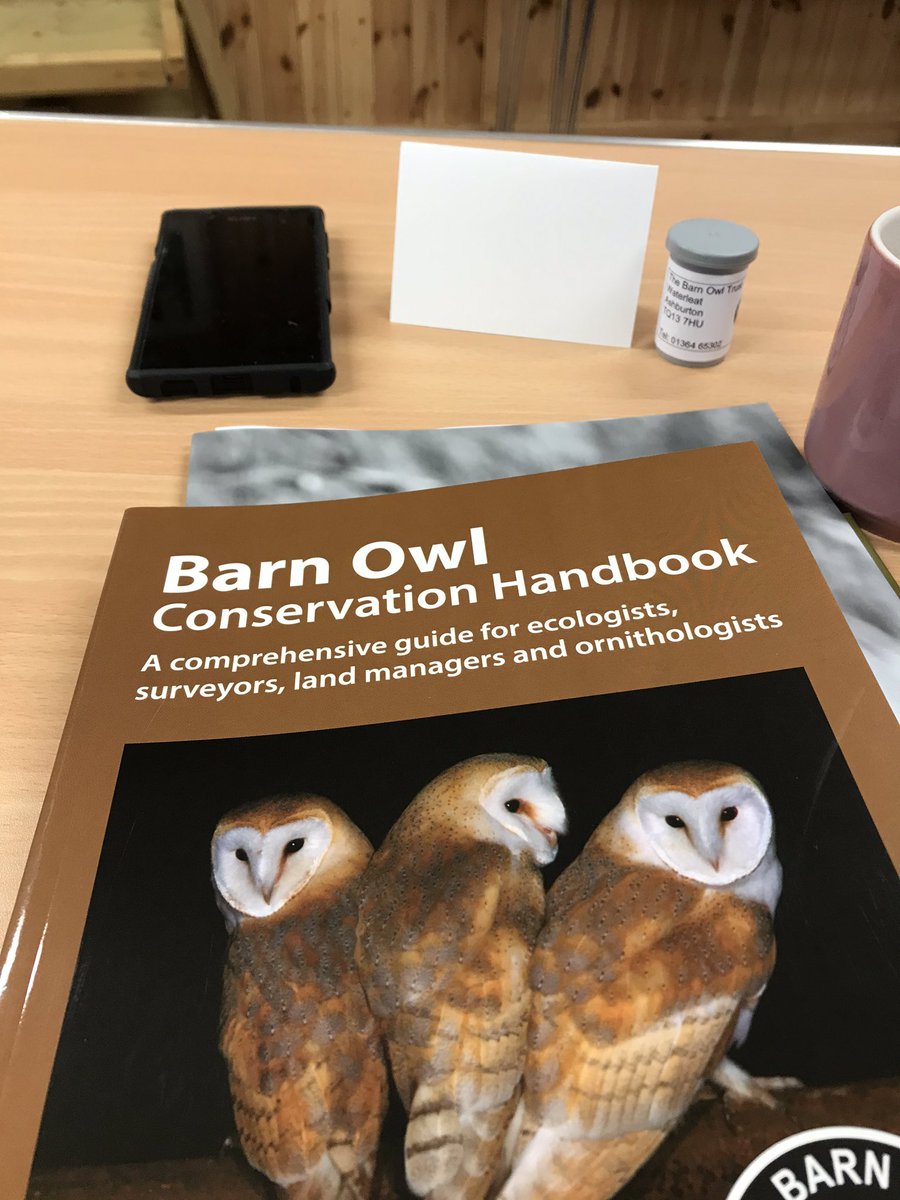 Bethereforbarnowls Barnowlsni Twitter