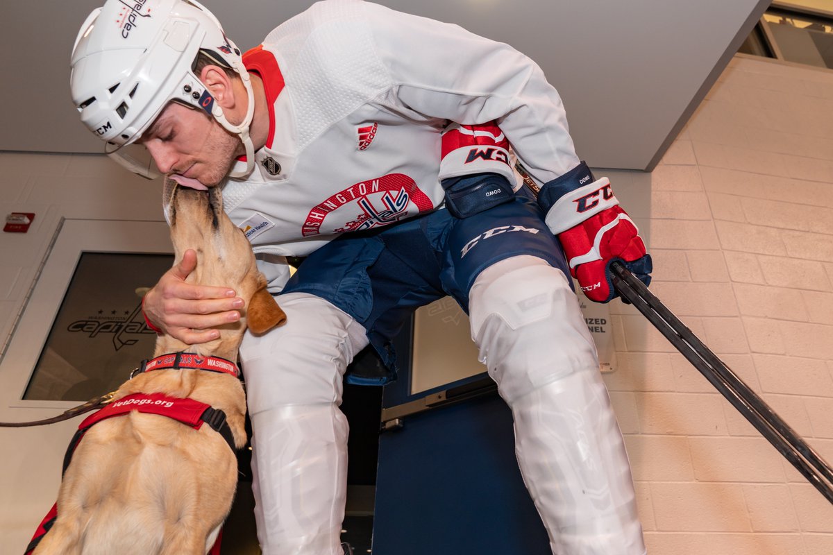 CapsPup's tweet photo. thanks for all the post-practice pets guys !! https://t.co/FpOTlSXHGh