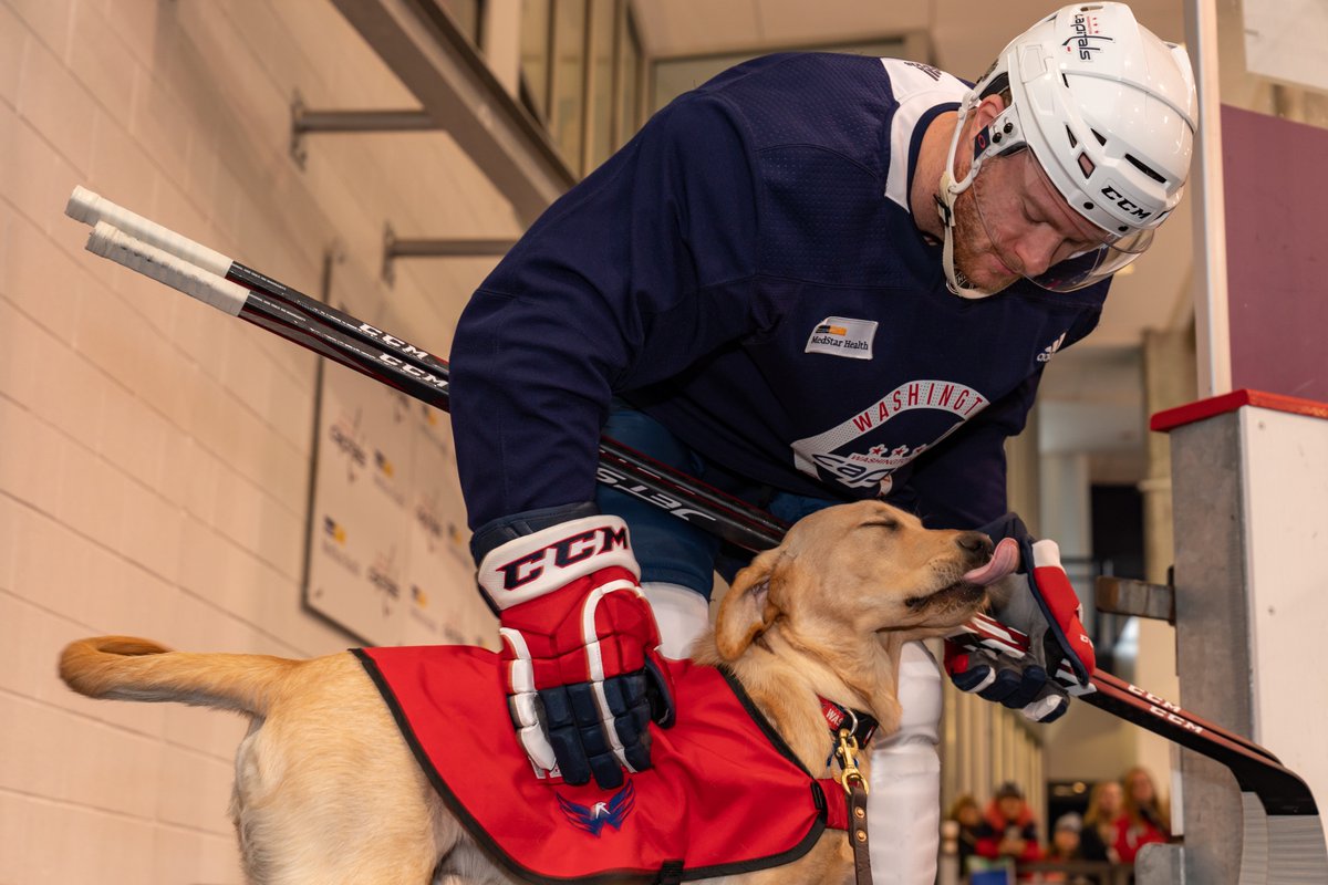 CapsPup's tweet photo. thanks for all the post-practice pets guys !! https://t.co/FpOTlSXHGh