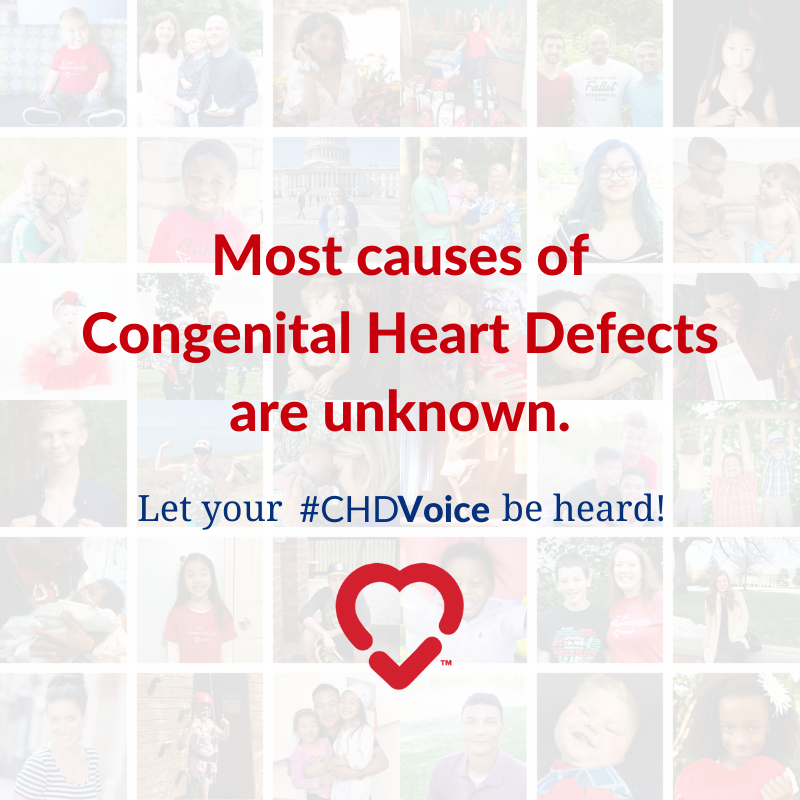 conqueringchd's tweet photo. The causes of congenital heart defects, and opportunities to prevent them, are not widely known amongst the general public. PCHA continues to support research across the lifespan of CHD, including known/unknown risk factors and preventative measures. #𝐂𝐇𝐃𝐕𝐨𝐢𝐜𝐞 https://t.co/9W7ihGwZuu