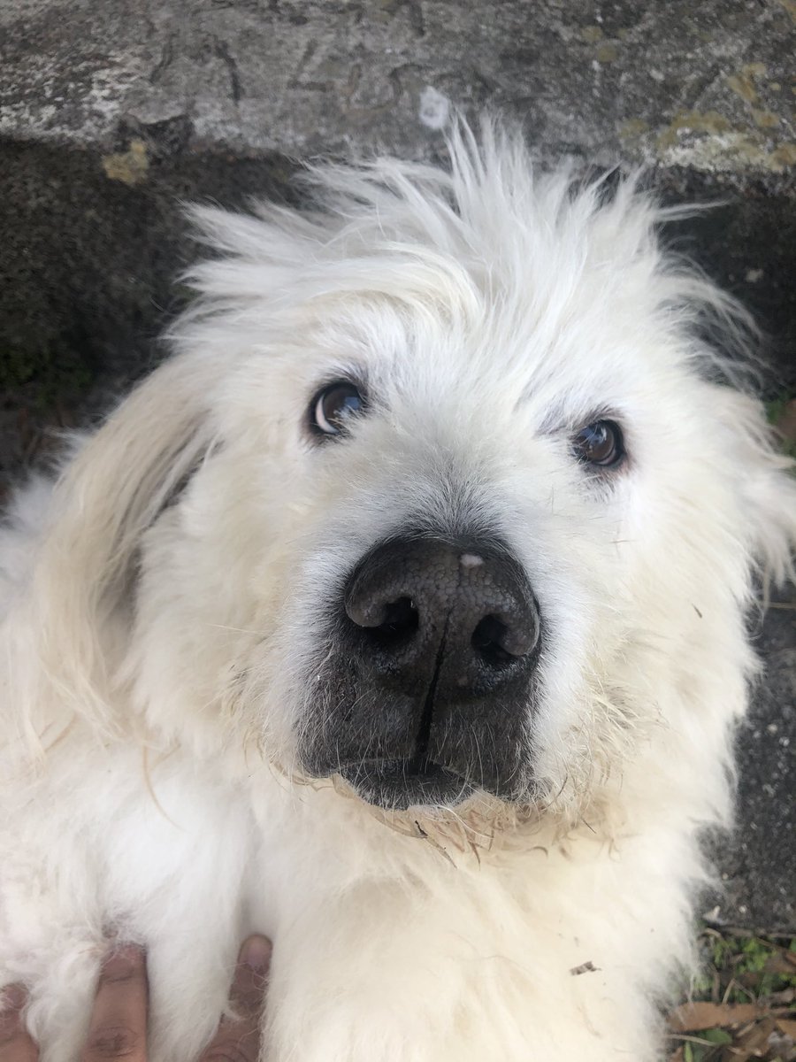 DLapidated's tweet image. Thx for the best 12 years you could give me Bruno