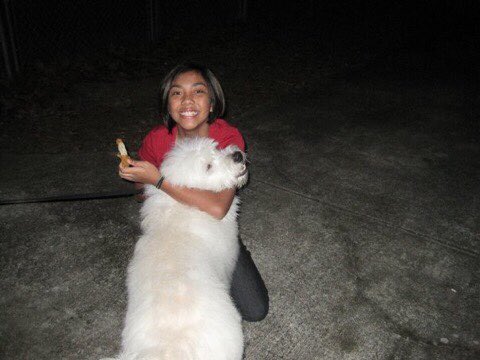 DLapidated's tweet image. Thx for the best 12 years you could give me Bruno