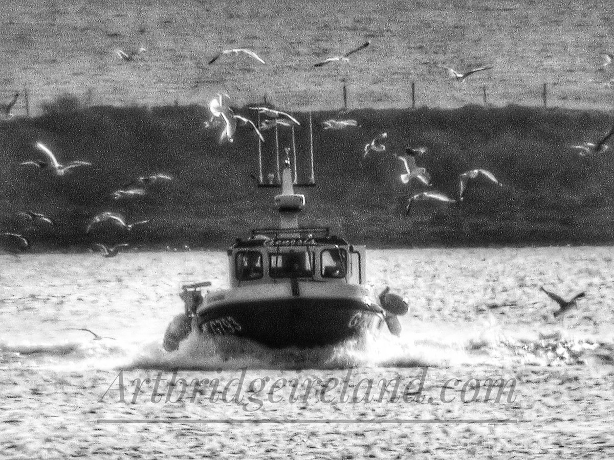 Bring home the catch #dingle #fishing #landscapephotography #kerry #ireland #fishingCommunity #dingleHarbour #wildatlantic #wawhour #wildatlanticway #blackandwhitephotography #BlackAndWhiteTwitter #fungi #fungidingle #dingledolphin