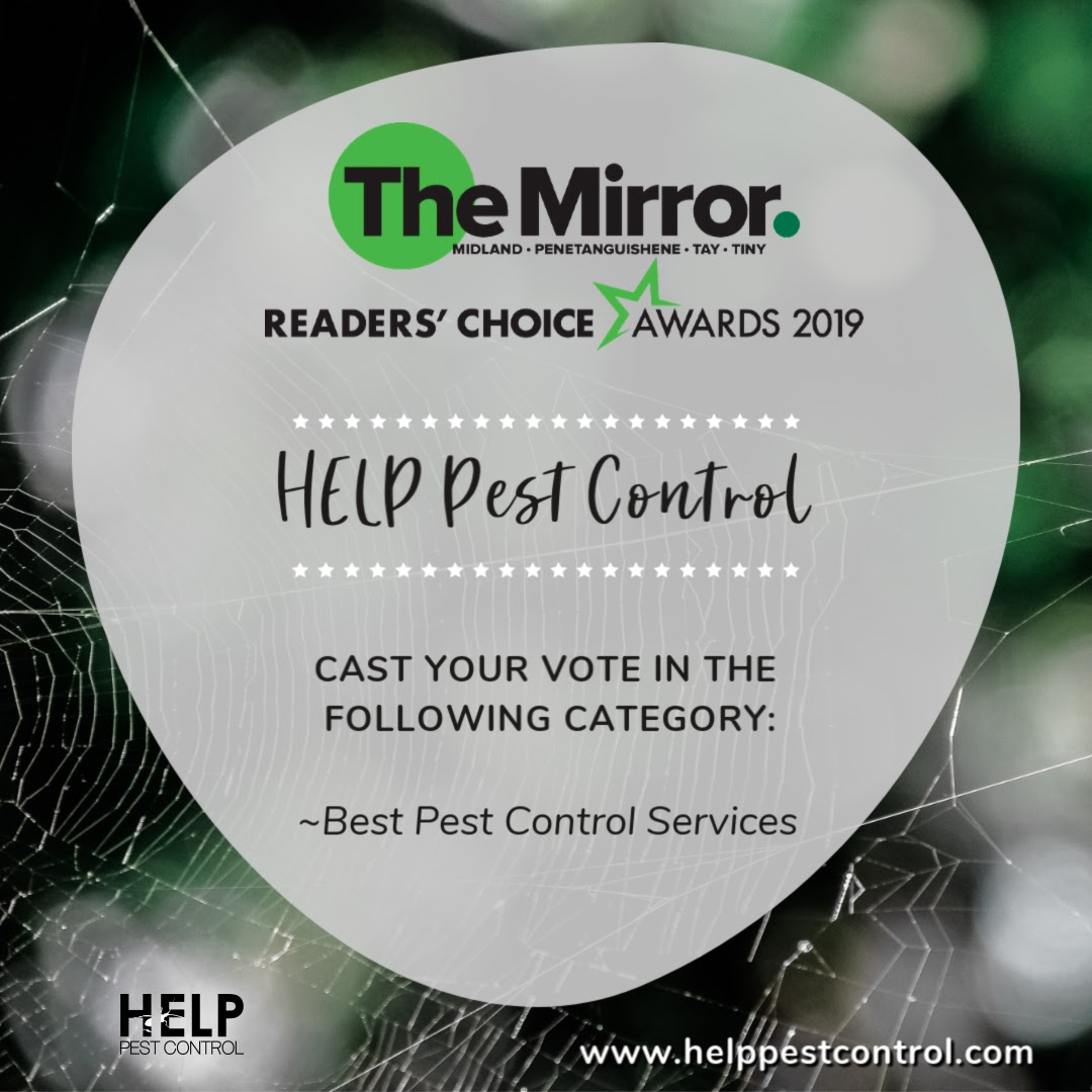 HELP Pest Control has been proudly serving our region since 1984. That's why we are honoured to be nominated in the Midland Mirror Readers' Choice Awards 2019.

We would greatly appreciate your votes, daily until February 22.

zurl.co/2wzx