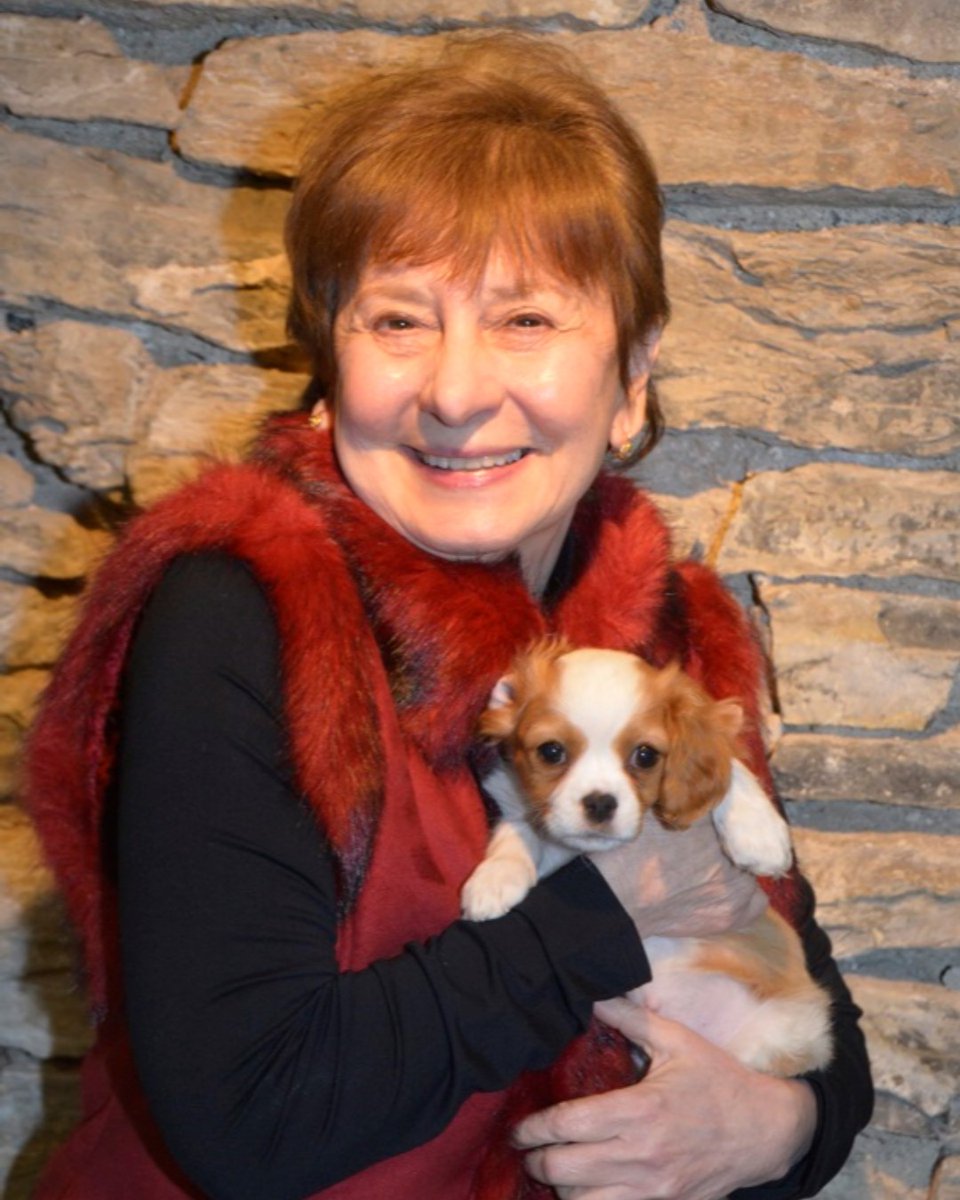happlayhouse's tweet photo. #FinneganthePupper wants to introduce you to the ladies of #lovelossandwhatiwore! Up next is Donna Testa. Get your tickets for this show that runs February 13-23 at https://t.co/wlzFSb6eN3 https://t.co/lbOR306JXt