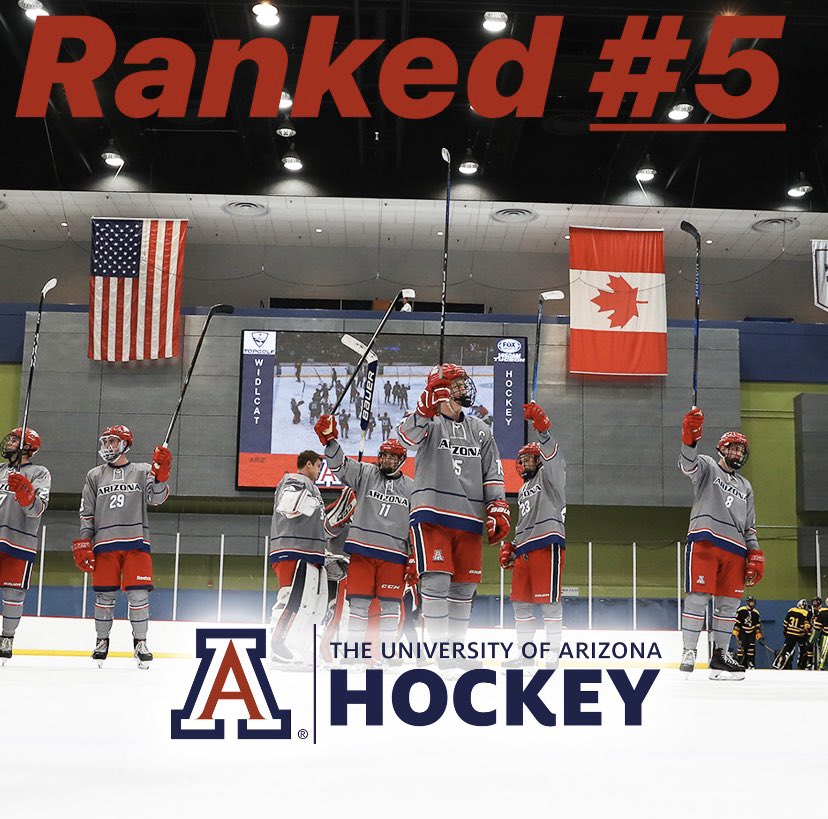 UAZ Wildcat Hockey tweet media