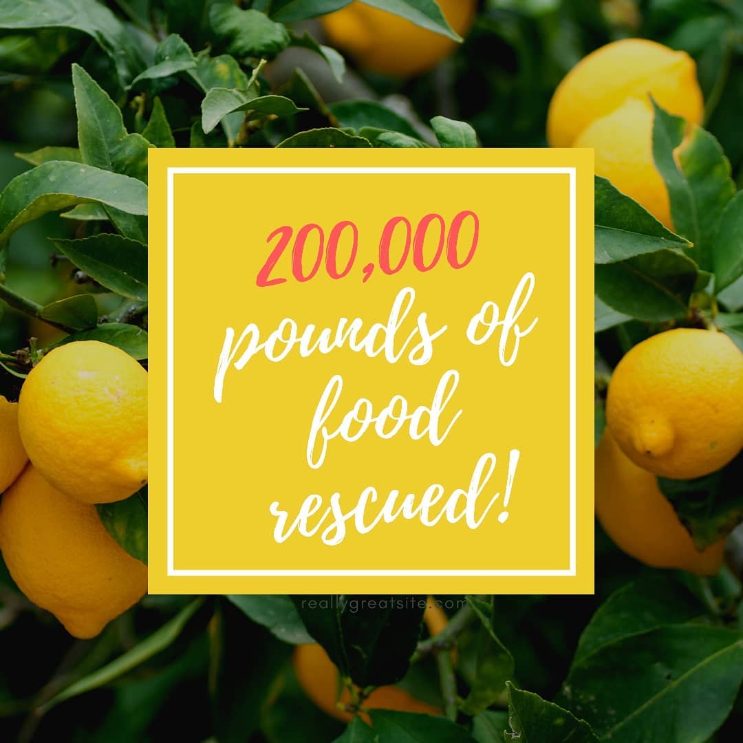 PWFoodRescue's tweet photo. We did it! Food Rescue Heroes, Donors, and Nonprofit partners we could not have done it without you! #PWFR #200000lbs 🍎🥖 https://t.co/g9bdebr6w3